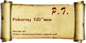 Pokorny Tímea névjegykártya
